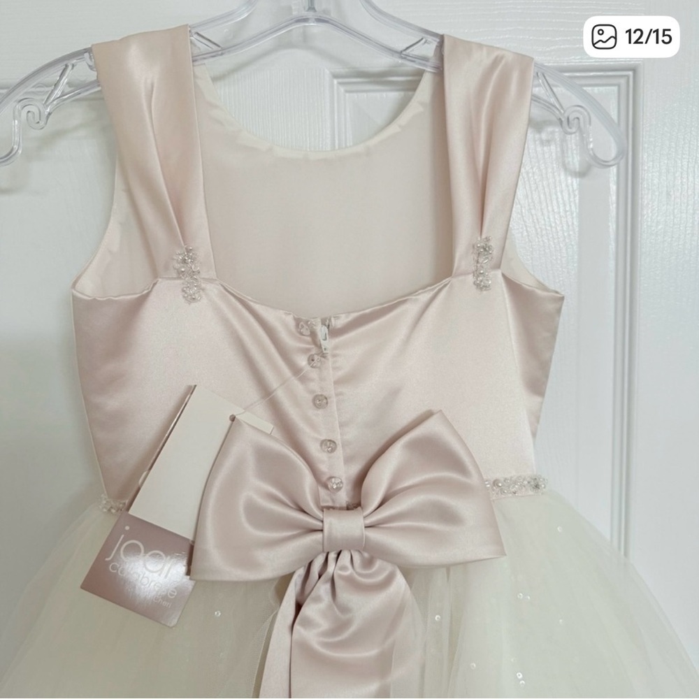 Stunning Joan Calabrese for Mon Cherri Flower Girl Dress in Ivory/Petal size 7 - Picture 13 of 15